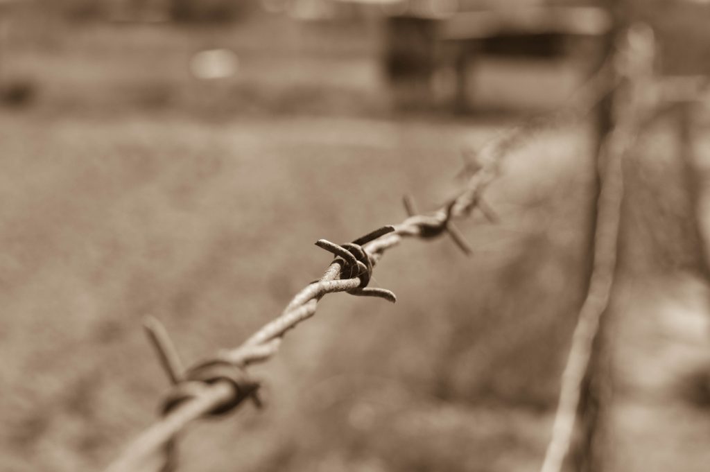 Barbed wire keyed the transition from free range ranching to static cattle ranches.