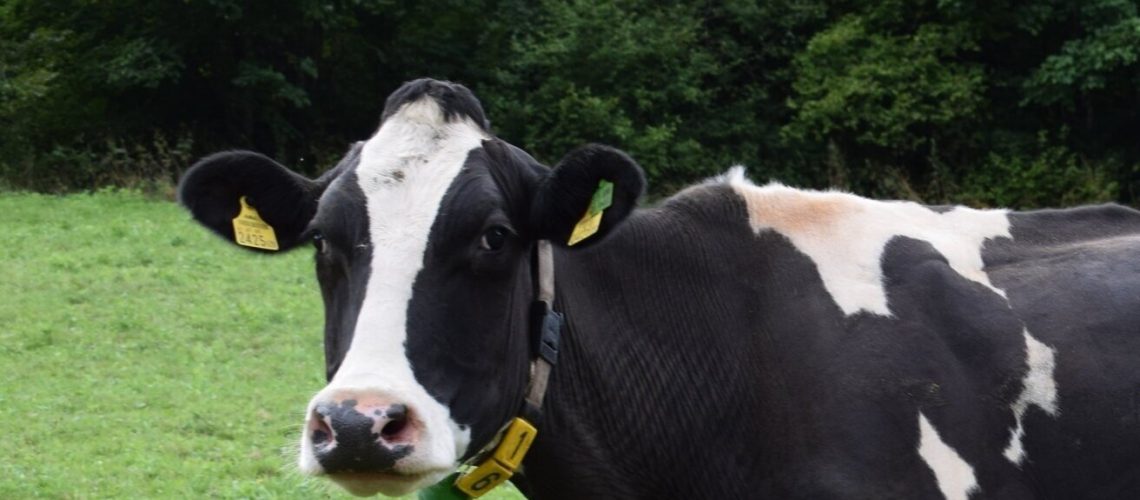 exc-55c38322e4b01ce7451a5876